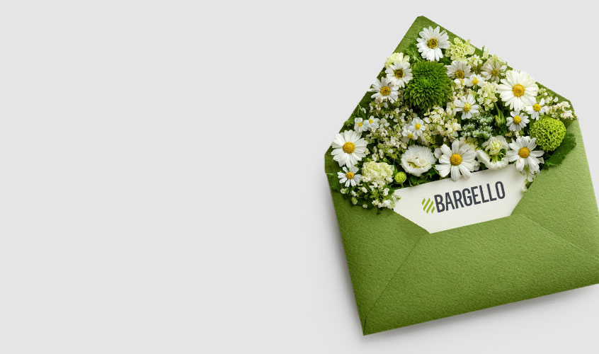 promo-banner-image